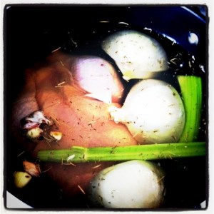 Chicken stock