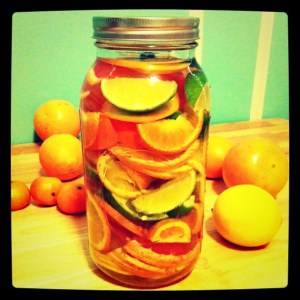 Citrus in jar with vodka