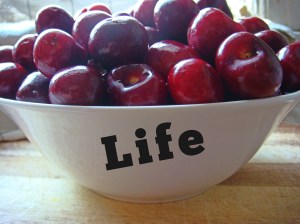 Life is a bowl of cherries